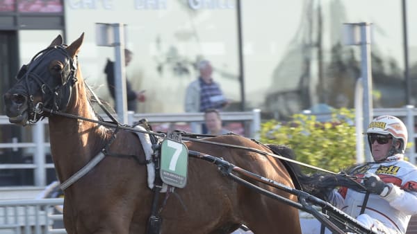 Foto: LARS JAKOBSSON/TR BILD