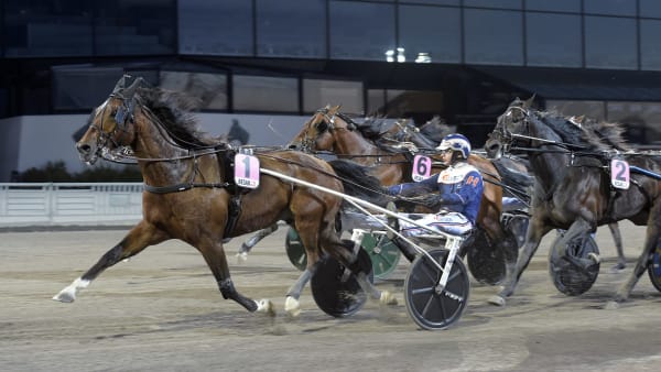 Foto: LARS JAKOBSSON / TR BILD