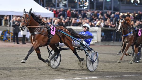 Foto: MALIN ALBINSSON / TR BILD