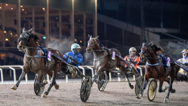 Foto: MIKAEL ROSENQUIST/TR BILD