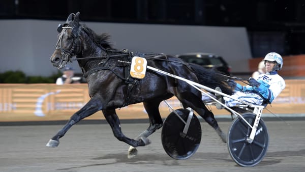 Foto: LARS JAKOBSSON / TR BILD