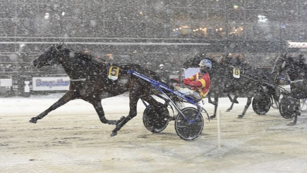 Foto: LARS JAKOBSSON / TR BILD