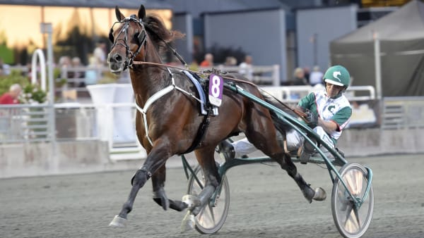 Foto: LARS JAKOBSSON / TR BILD