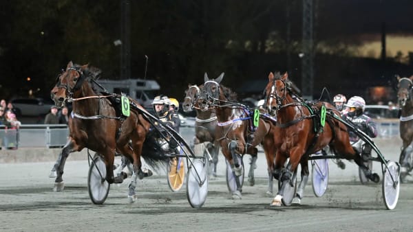 Foto: MARIA HOLMÉN / TR BILD