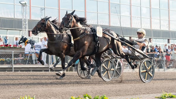 Foto: MIKAEL ROSENQUIST / TR BILD