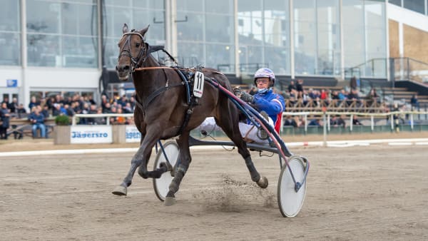 Foto: MIKAEL ROSENQUIST / TR BILD