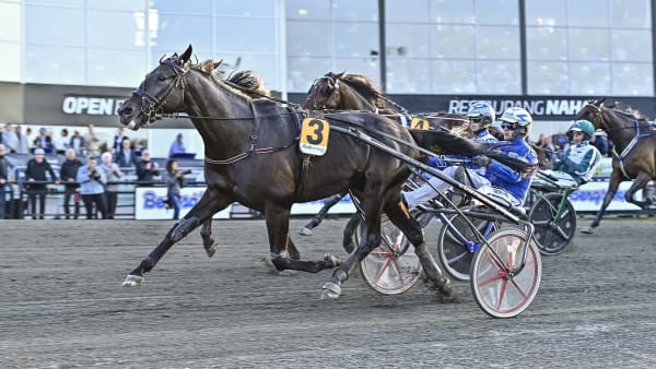 Foto: JENNY REHNMAN / TR BILD