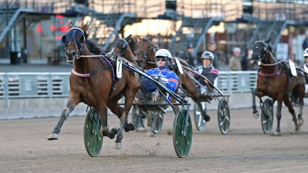 Foto: MARIA HOLMÉN / TR BILD