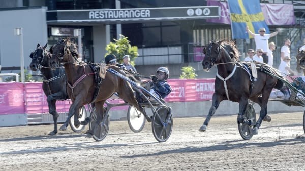 Foto: LARS JAKOBSSON / TR BILD