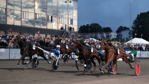 Foto: MIKAEL ROSENQUIST / TR BILD