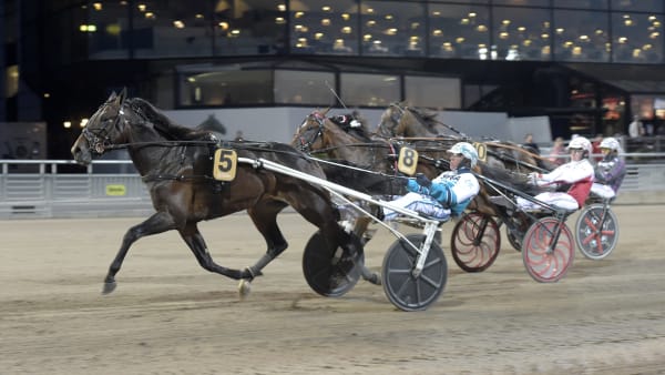 Foto: LARS JAKOBSSON / TR BILD