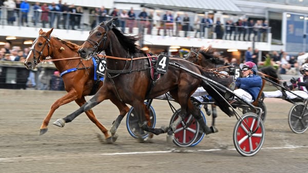 Foto: MALIN ALBINSSON / TR BILD