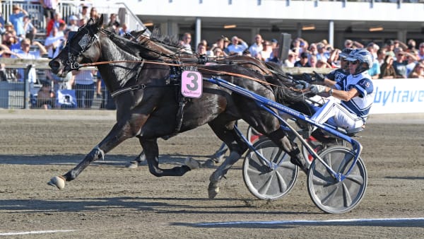 Foto: MALIN ALBINSSON / TR BILD