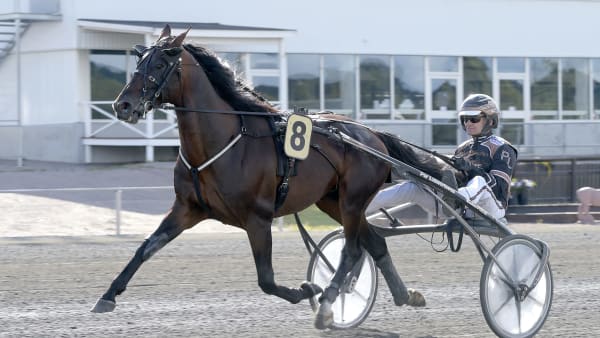 Foto: LARS JAKOBSSON / TR BILD