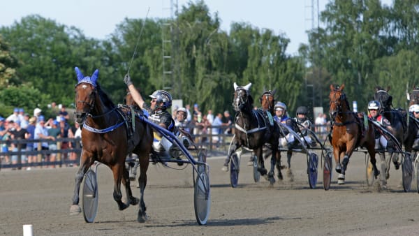 Foto: MATILDA ÖHRMAN / TR BILD