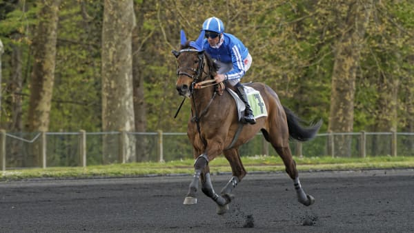 Foto: JEAN-LUC LAMAERE/LE TROT