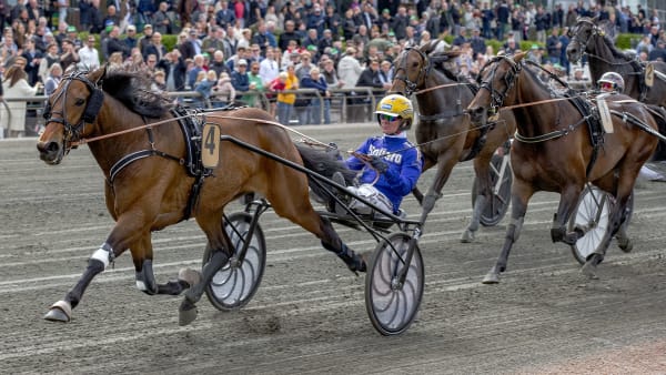 Foto: BURT SEEGER