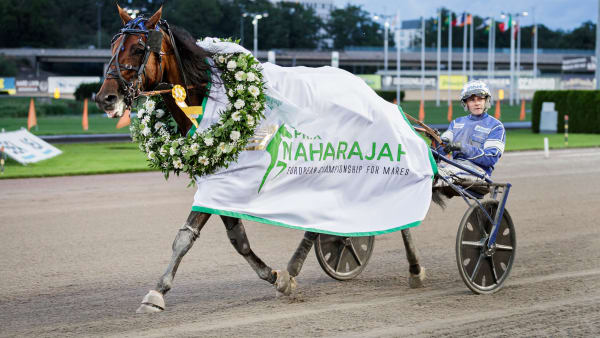 Foto: LENA EMMOTH / TR BILD