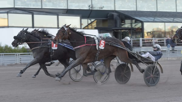 Foto: LARS JAKOBSSON/TR BILD