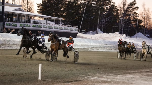 Foto: DAVID SCHREINER / TR BILD