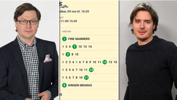 Foto: MONTAGE/TR BILD/ATG.SE