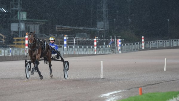 Foto: LARS JAKOBSSON / TR BILD