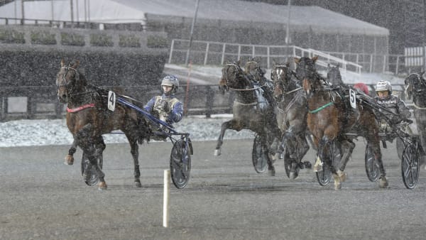 Foto: LARS JAKOBSSON / TR BILD