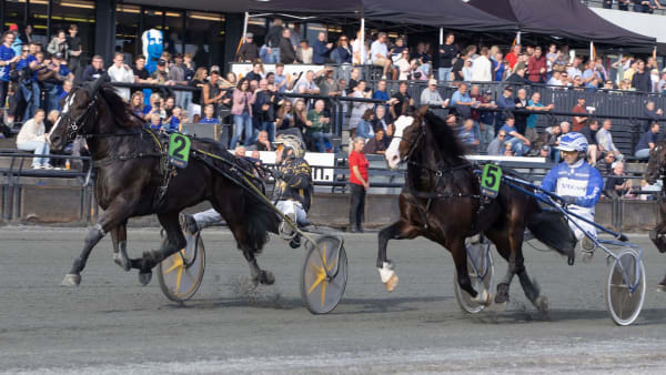 Foto: ANDERS KONGSRUD/HESTEGUIDEN.COM