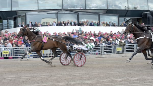 Foto: LARS JAKOBSSON / TR BILD