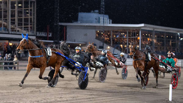 Foto: MIKAEL ROSENQUIST / TR BILD