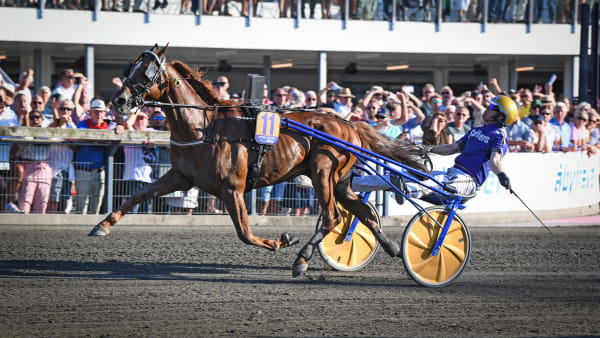 Foto: MALIN ALBINSSON / TR BILD