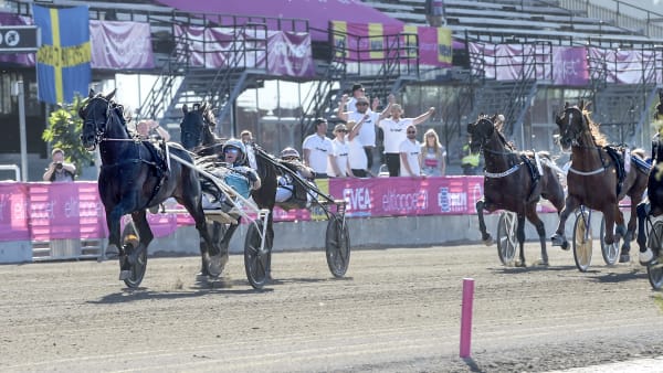 Foto: LARS JAKOBSSON / TR BILD