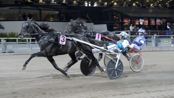 Foto: LARS JAKOBSSON / TR BILD