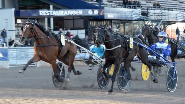 Foto: LARS JAKOBSSON / TR BILD