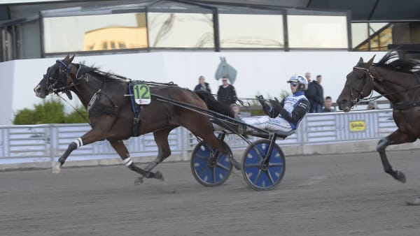 Foto: LARS JAKOBSSON/TR BILD