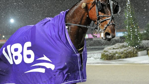 Foto: LARS JAKOBSSON / TR BILD