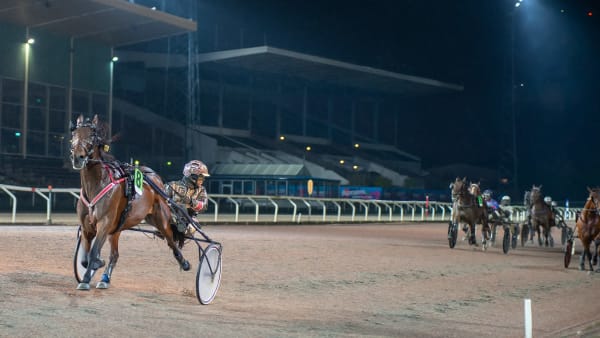 Foto: MIKAEL ROSENQUIST / TR BILD