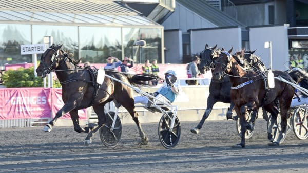 Foto: LARS JAKOBSSON / TR BILD