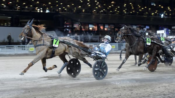 Foto: LARS JAKOBSSON / TR BILD