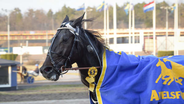 Foto: LARS JAKOBSSON / TR BILD