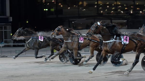 Foto: LARS JAKOBSSON / TR BILD