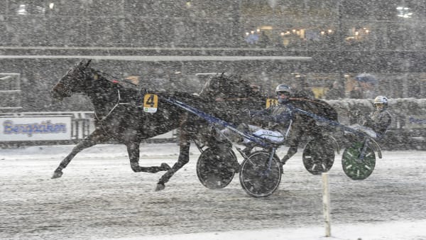 Foto: LARS JAKOBSSON / TR BILD