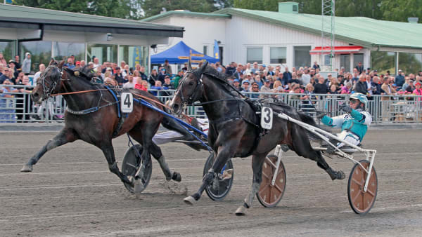 Foto: TOM JÖNEHAG/TR BILD