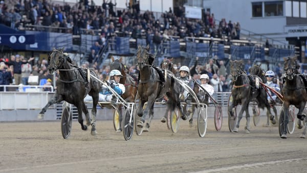 Foto: LARS JAKOBSSON / TR BILD