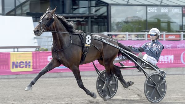 Foto: LARS JAKOBSSON / TR BILD