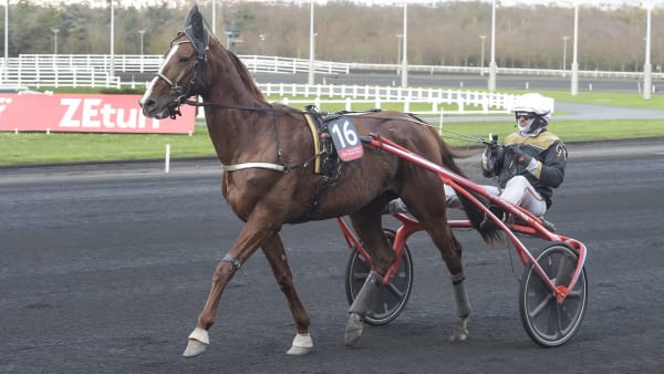 Foto: LARS JAKOBSSON / TR BILD