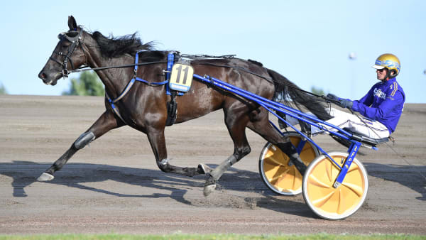 Foto: MALIN ALBINSSON / TR BILD