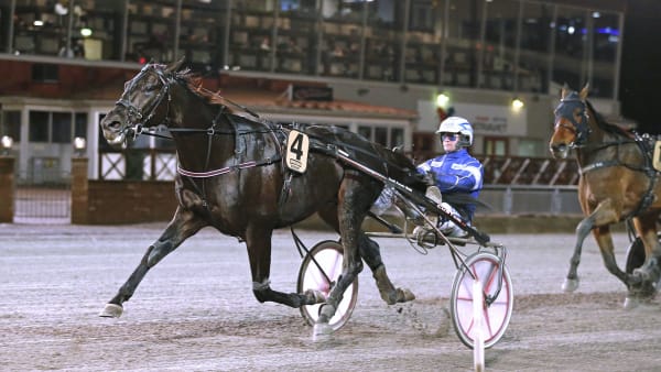 Foto: MARIA HOLMÉN / TR BILD