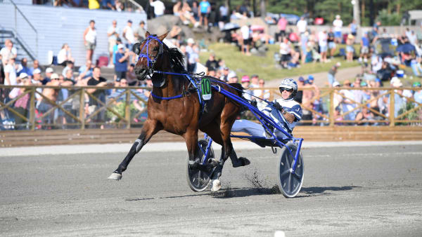 Foto: Malin Albinsson/TR Bild