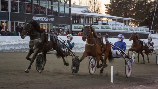 Foto: DAVID SCHREINER / TR BILD